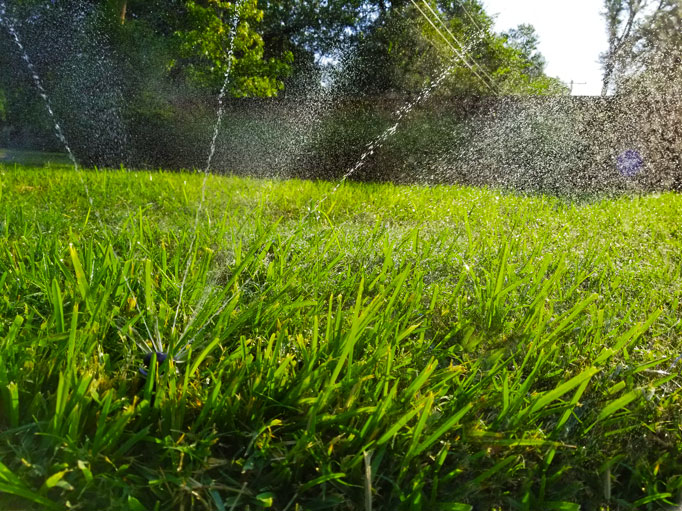 sprinkler Dallas Landscaping Landscape design Installation