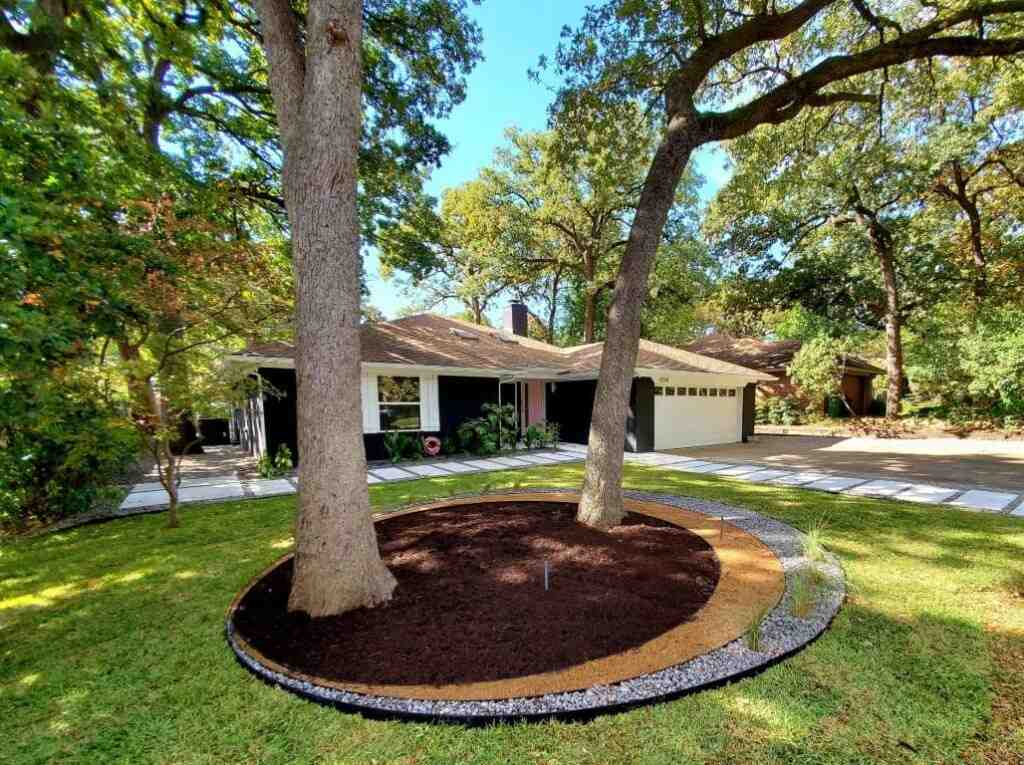 Professional lawn maintenance